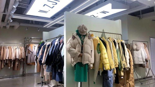 馨鋒睿服飾2020冬季新品品鑒會(huì),歡迎新老顧客蒞臨選貨 品牌